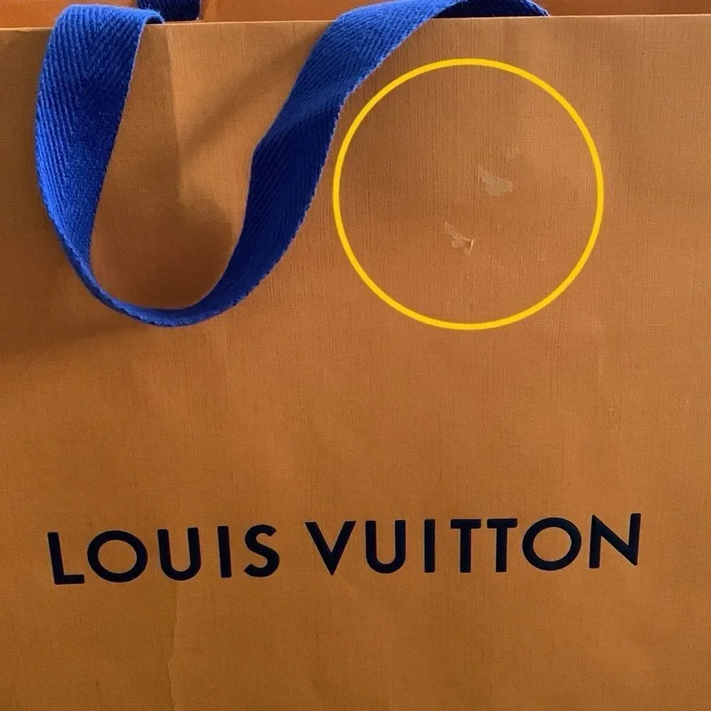 Louis Vuitton Medium 16”x13” Empty Paper Shopping Tote - Replacement Gift Bag